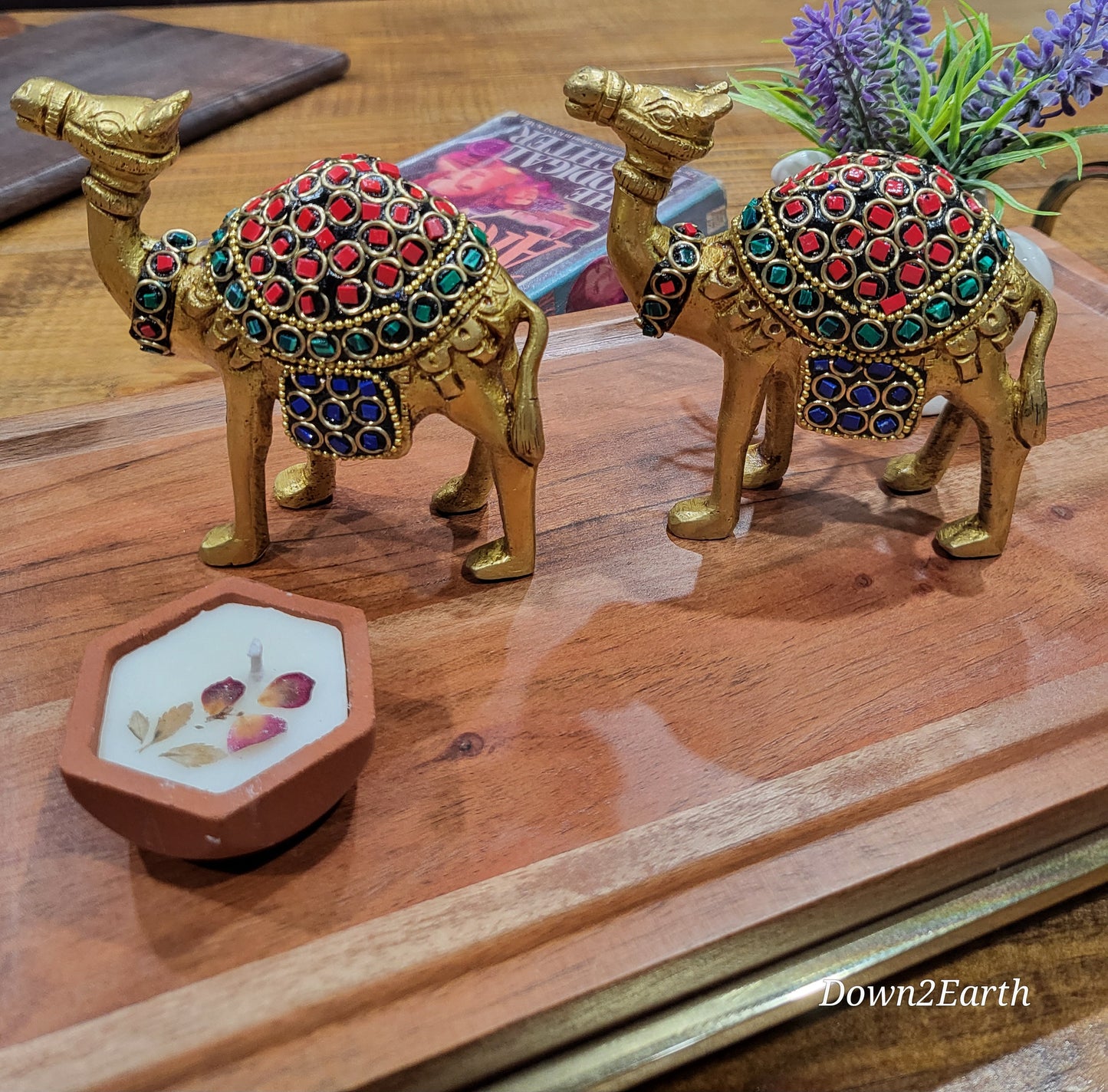 Camel Pair Variants - 2