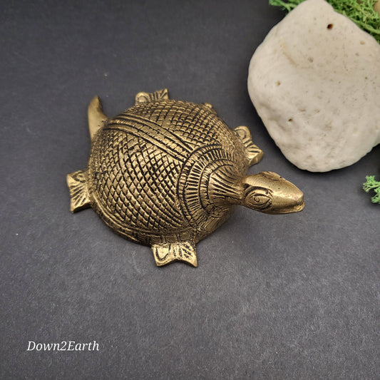 Tortoise with Kuber numbers